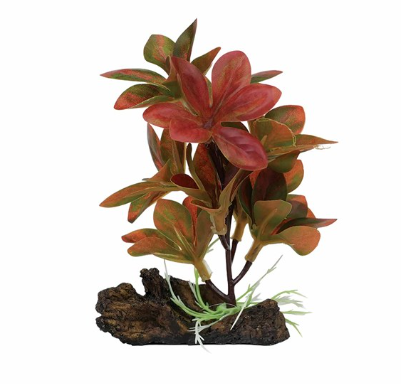 Aquael Dekorativní rostlina 9008 – 13 cm
