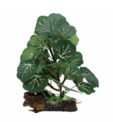 Aquael Dekorativní rostlina 9005 – 13 cm