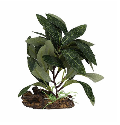 Aquael Dekorativní rostlina 9001 – 13 cm