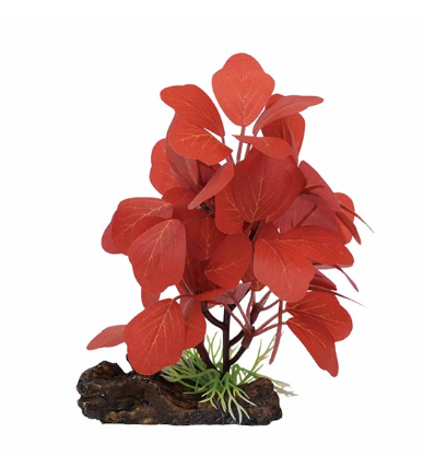 Aquael Dekorativní rostlina 9003 – 13 cm