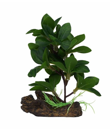 Aquael Dekorativní rostlina 9007 – 13 cm